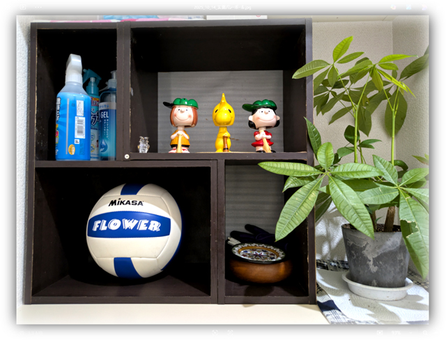 任天堂バレーボールの原作権利者・ファミコン移植ディレクター、本谷浩明