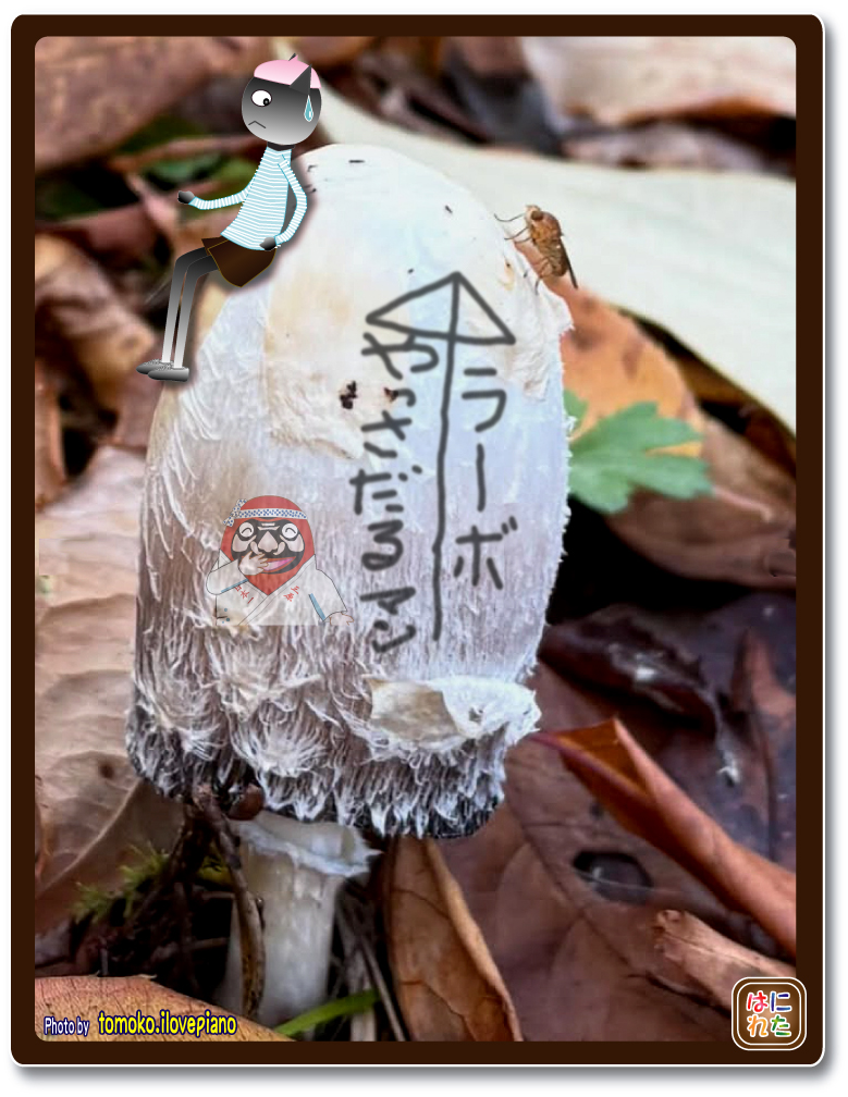 Retasu's House れたすはうす